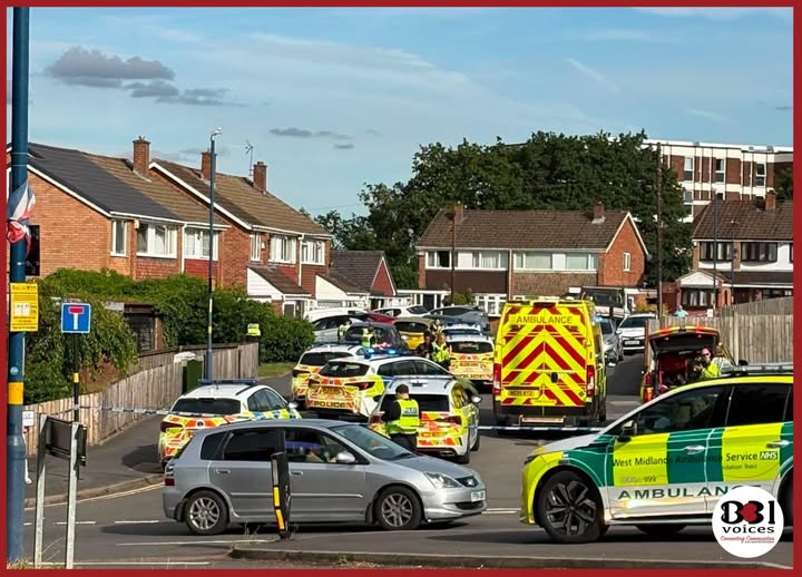 Bartley Green Stabbing: Police Respond to Incident on Jiggins Lane