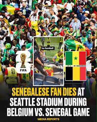 Senegal Fan Died: Senegalese Fan Dies During Belgium vs. Senegal World Cup Match at Seattle Stadium
